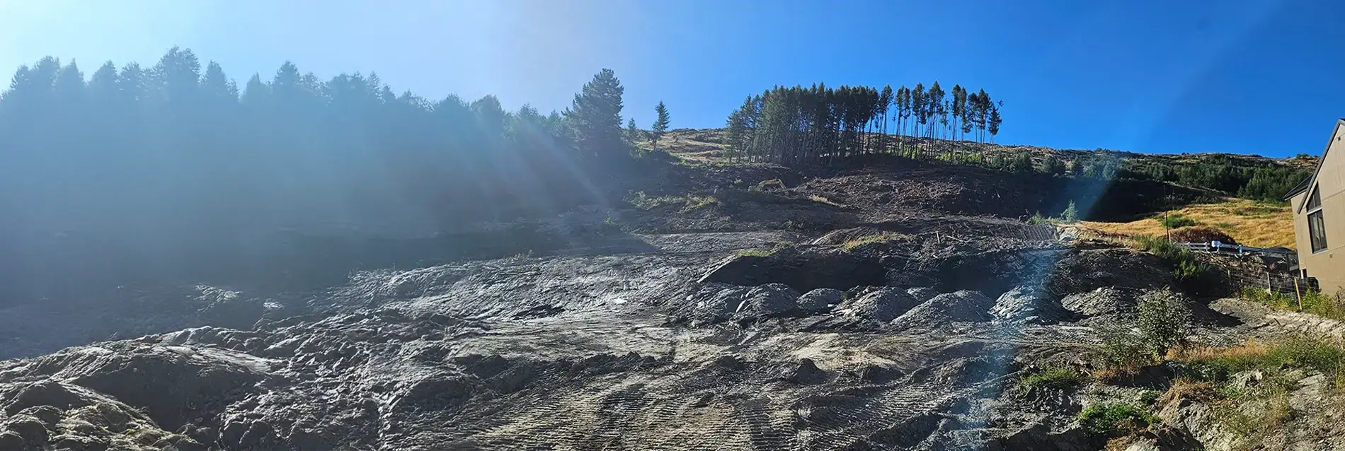 Land Clearing Service - Tree Technician