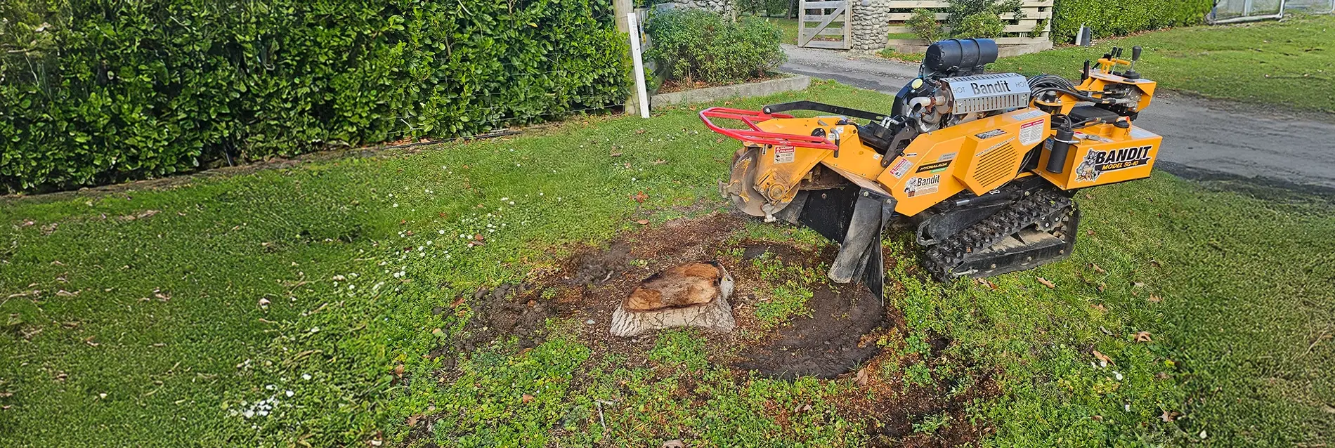 Tree Stump Removal - Tree Technician