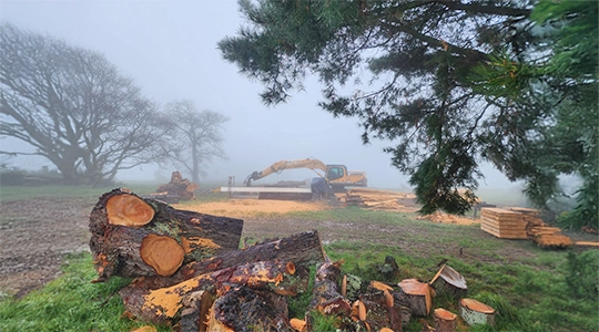 Certified Arborist Canterbury_Arborists