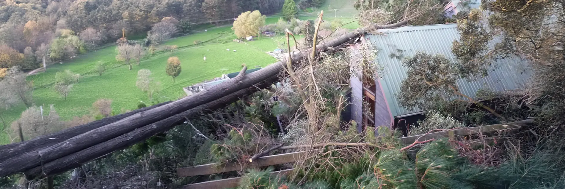 Emergency Tree Work - Tree Technician