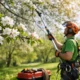 Seasons - Spring: Time for Smarter Tree Care
