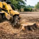 Stump Grinding Canterbury for a Clear Site