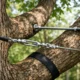Tree Cabling and Bracing for Safer Trees