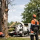 Tree Removal: Knowing When a Tree Must Go