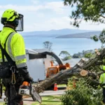 Emergency Tree Service Review for Safer Callouts