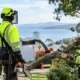 Emergency Tree Service Review for Safer Callouts