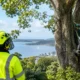 Protected Trees: What You Can and Cannot Do