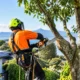 Tree Maintenance That Protects Your Property